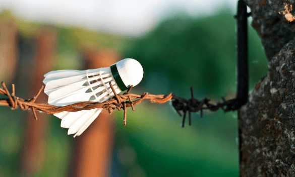 聚乙烯醇缩丁醛可以作为羽毛球的胶黏剂吗？