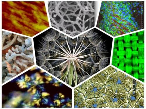 聚合物降解有哪几种类型