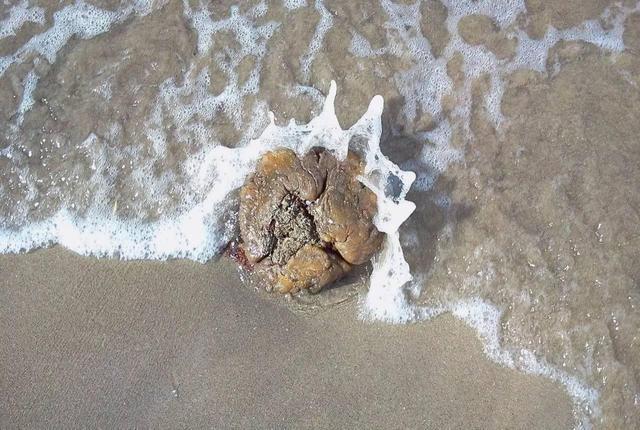 龙涎香香水的定香剂