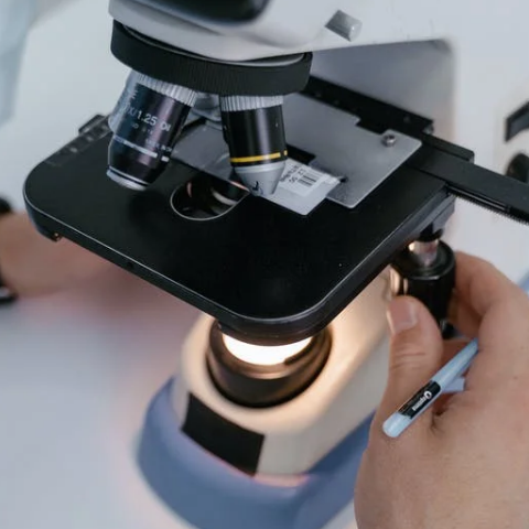 二维氮化硼纳米片制备工艺