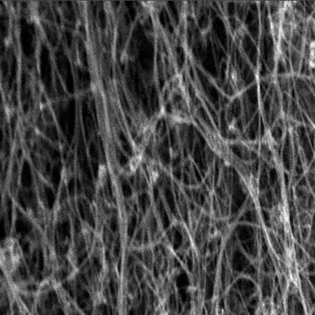 碳纳米管纸是什么