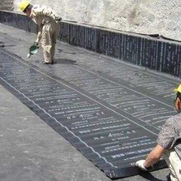 pvc高分子防水卷材材料